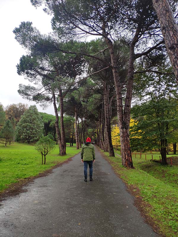 Atatürk Arboretumu