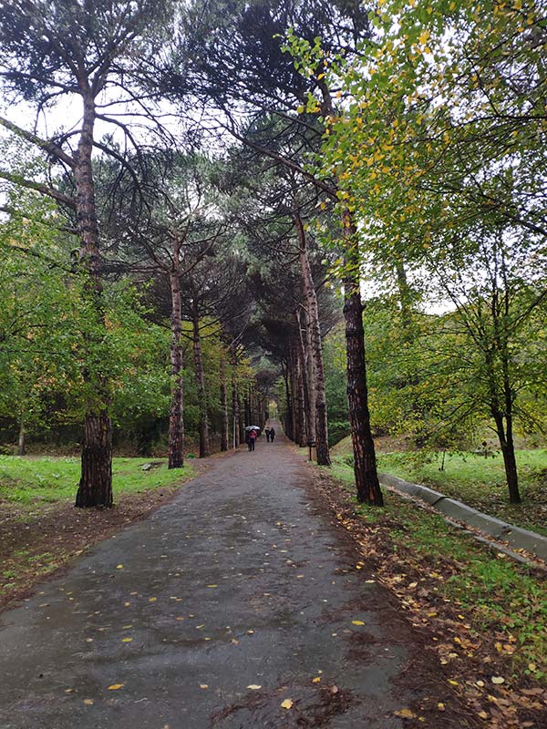 Atatürk Arboretumu