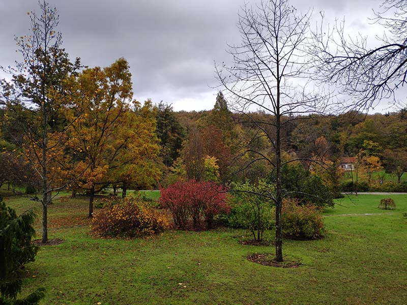 Atatürk Arboretumu