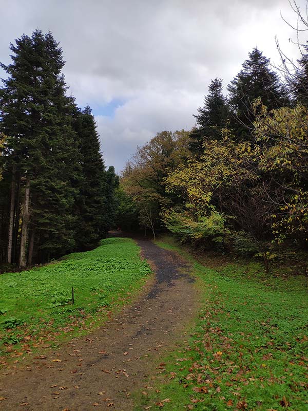 Atatürk Arboretumu