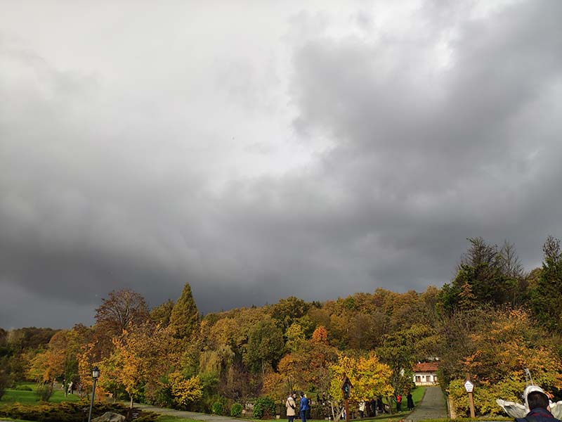 Atatürk Arboretumu