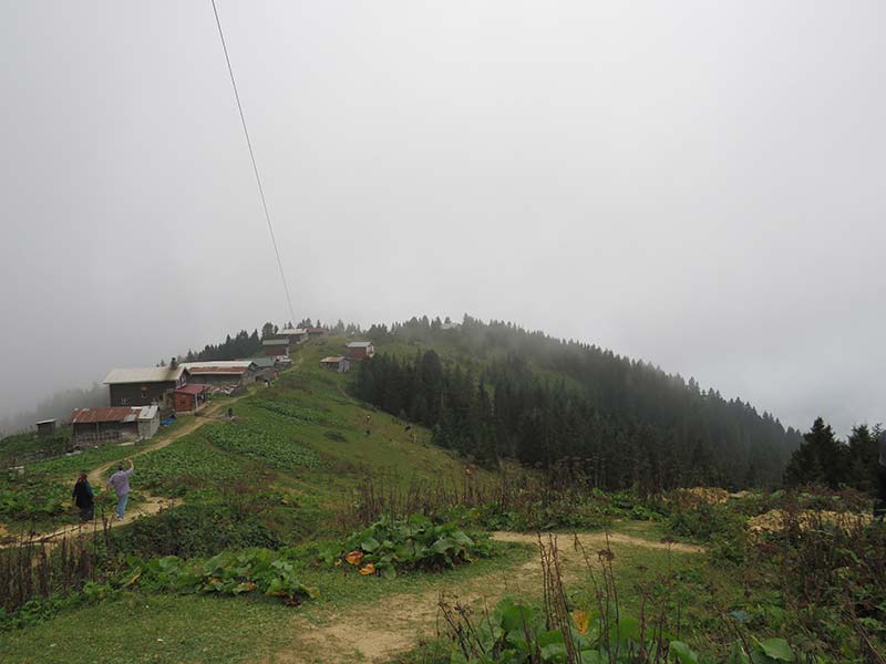 Pokut