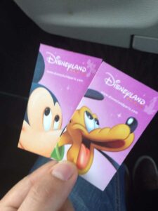 Disneyland Park Biletleri